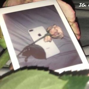 Meet your Posher, Maggie